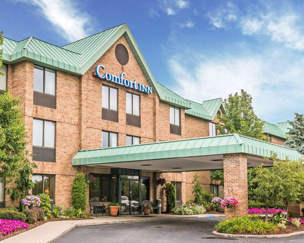 Comfort Inn Utica - featured photo