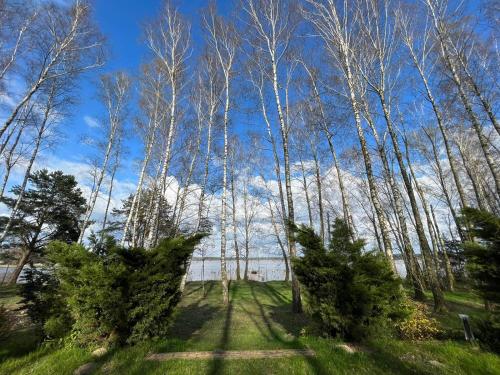 Grzyby Ryby Ferie Własny Pomost Kajak Kominek Grill Ognisko Raj Nad Woda Brzozki 1 — hotel in Sulejow
