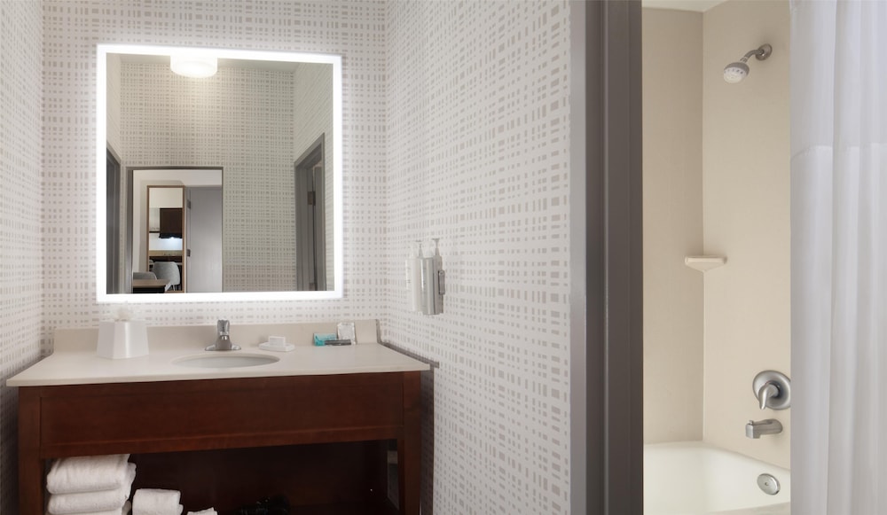 Hampton Inn & Suites Tampa North - photo 34
