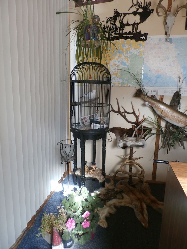 The Sage Motel - photo 9