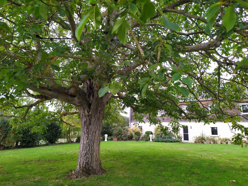 La Halte aux Oiseaux in Angers, France