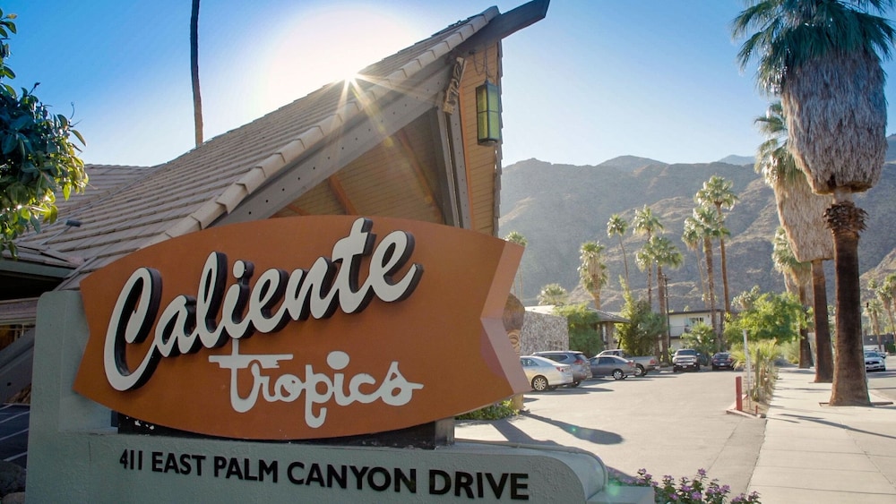 Caliente Tropics Hotel - photo 102
