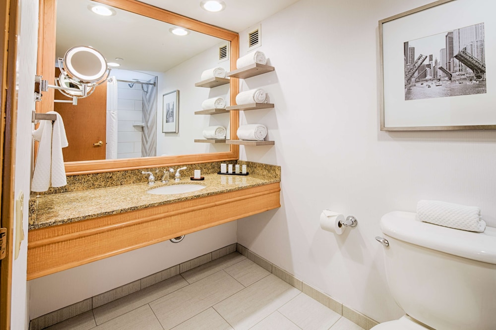 Embassy Suites by Hilton Chicago O'Hare Rosemont - photo 22