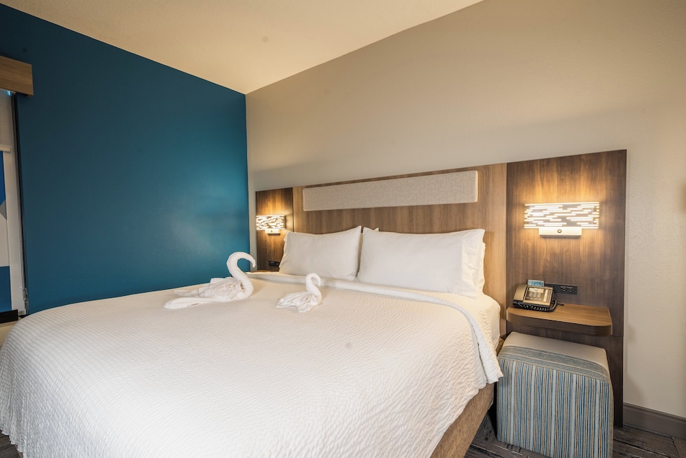 Holiday Inn Express Hotel & Suites Tampa Northwest Oldsmar by IHG - photo 19