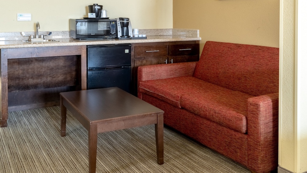 Holiday Inn Express & Suites Houston South near Pearland by IHG - photo 16