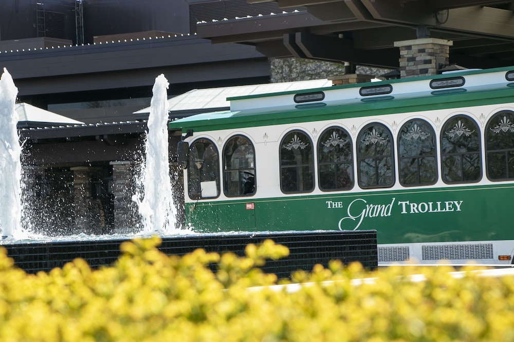 Grand Geneva Resort & Spa - photo 97