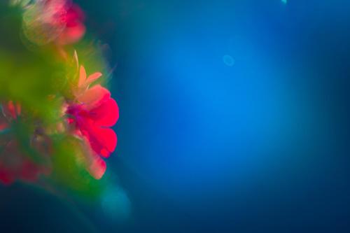 Dimora La Grazia in Castelvetrano, Italy