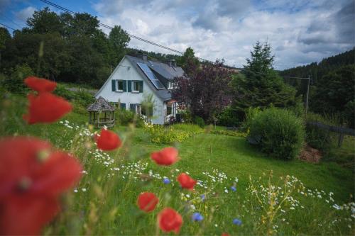 Bei Fuchses am Wisentpfad in Bad Berleburg, Germany