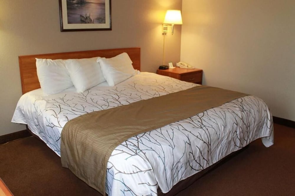 Edmore Inn — Edmore — photo 3