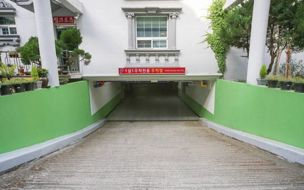 Gumi Geumosan Pink Rose in Gumi, South Korea