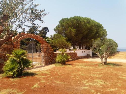Villa Dracena — Castelluzzo — photo 2