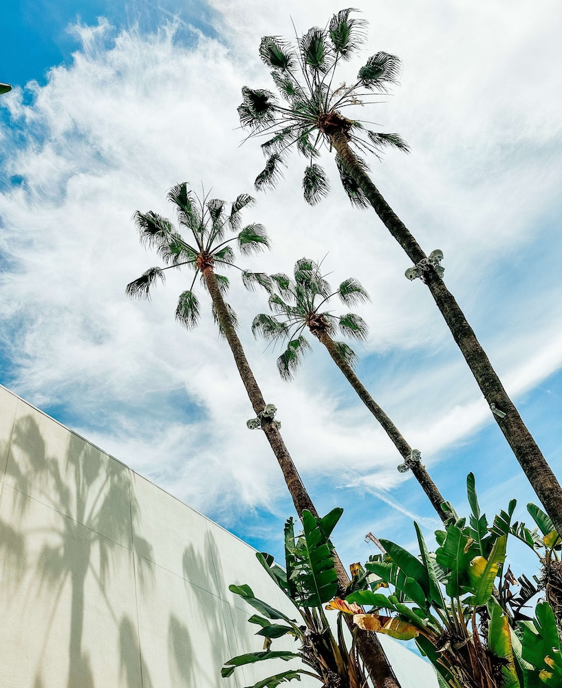 The Beverly Hilton - photo 108