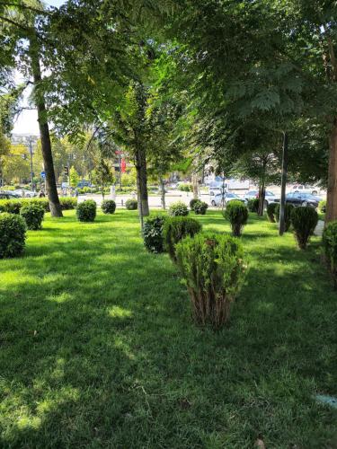 Orexus Tower 2 Bedroom Flat near Holiday Inn Hotel in City Center