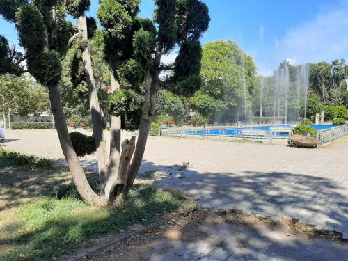 Vila Vanessimo — Eforie Sud — photo 4