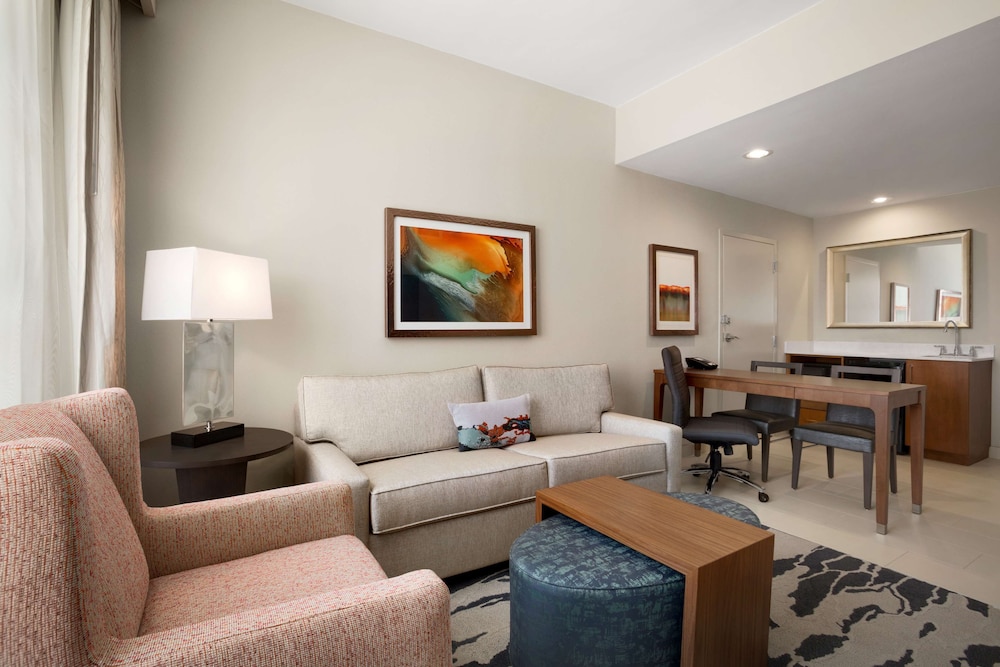 Embassy Suites by Hilton McAllen Convention Center - photo 22
