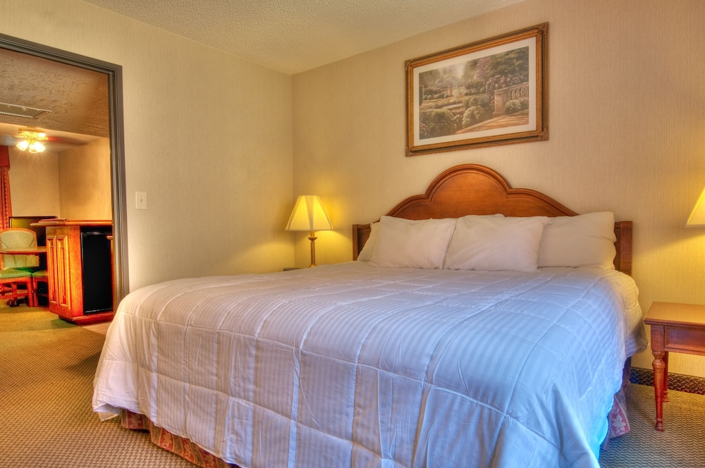 MCM Elegante Suites Abilene - photo 4