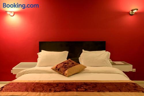 Vienna City Hotel — Tema — photo 4