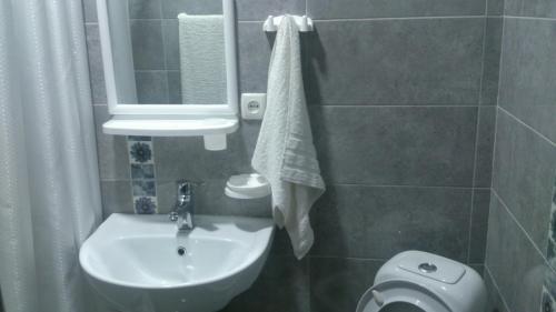 Apartment Sofi