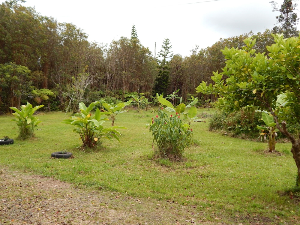 Fern Forest Getaway - photo 39