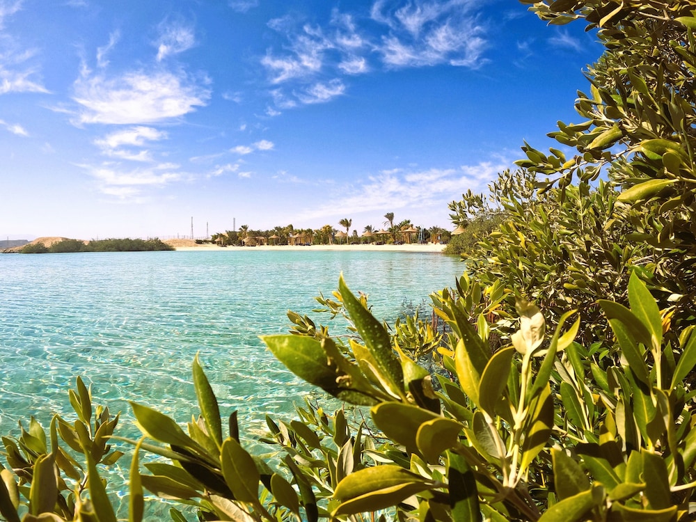 Mangrove Bay Resort in Al Qusayr, Egypt
