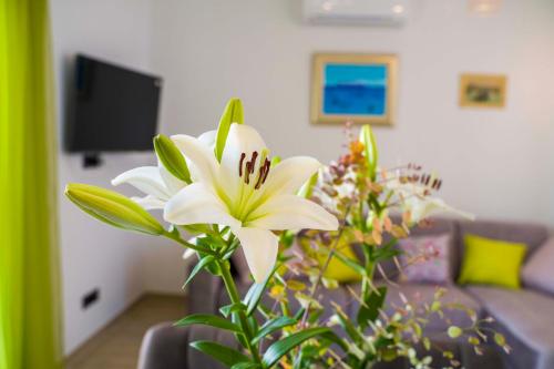Ve & Ki — 4-Star Luxury Hotel in Podstrana, Croatia