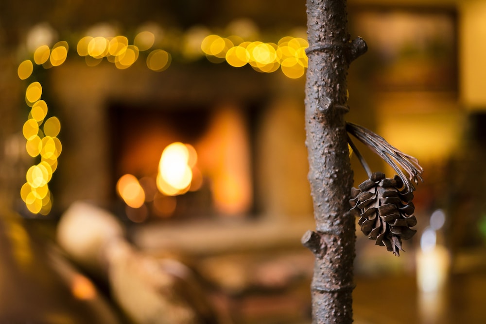 Tivoli Lodge - photo 4