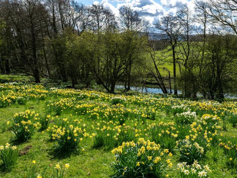 Rudby Hall — Yarm — photo 4