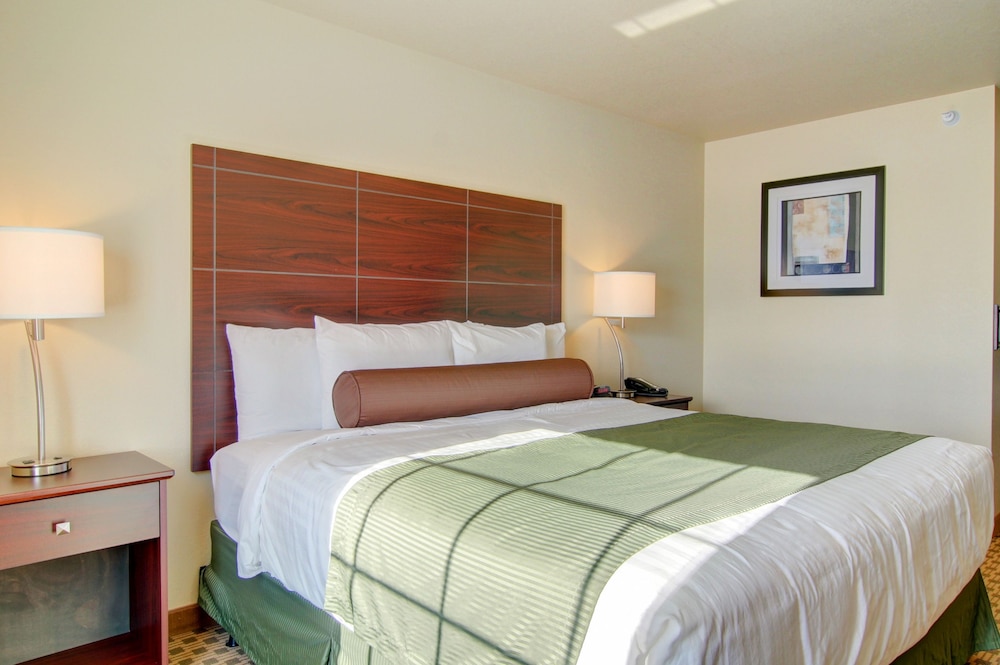 Cobblestone Inn & Suites Steele - photo 9