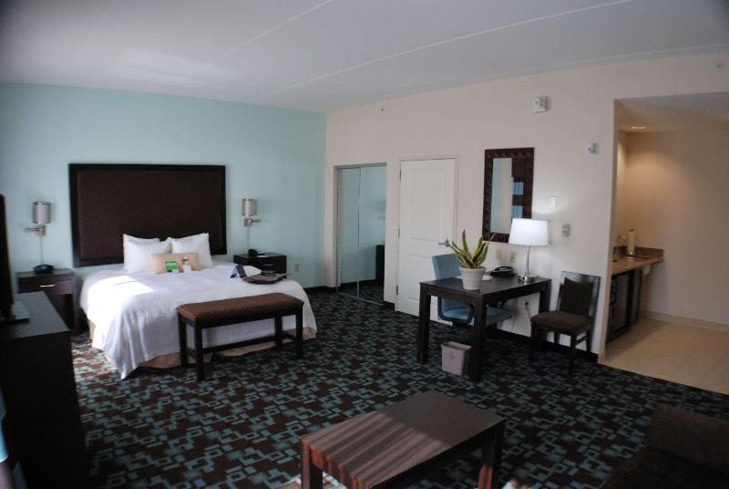 Hampton Inn & Suites Nashville @ Opryland - photo 47