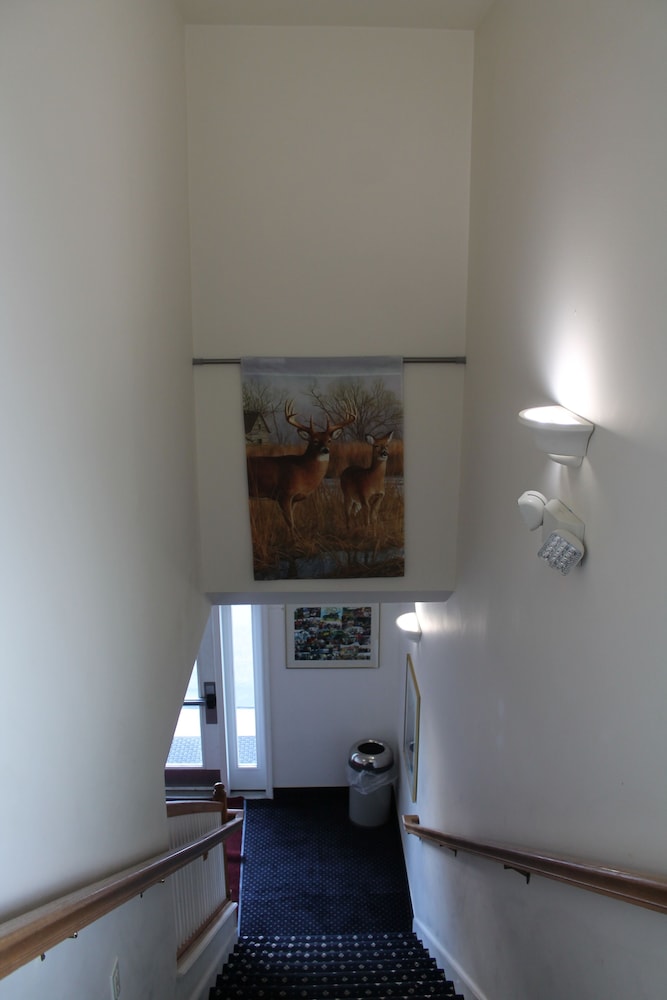 American Host Inn - photo 34