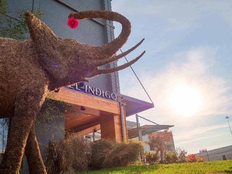 Hotel Indigo Chattanooga Downtown by IHG - photo 9