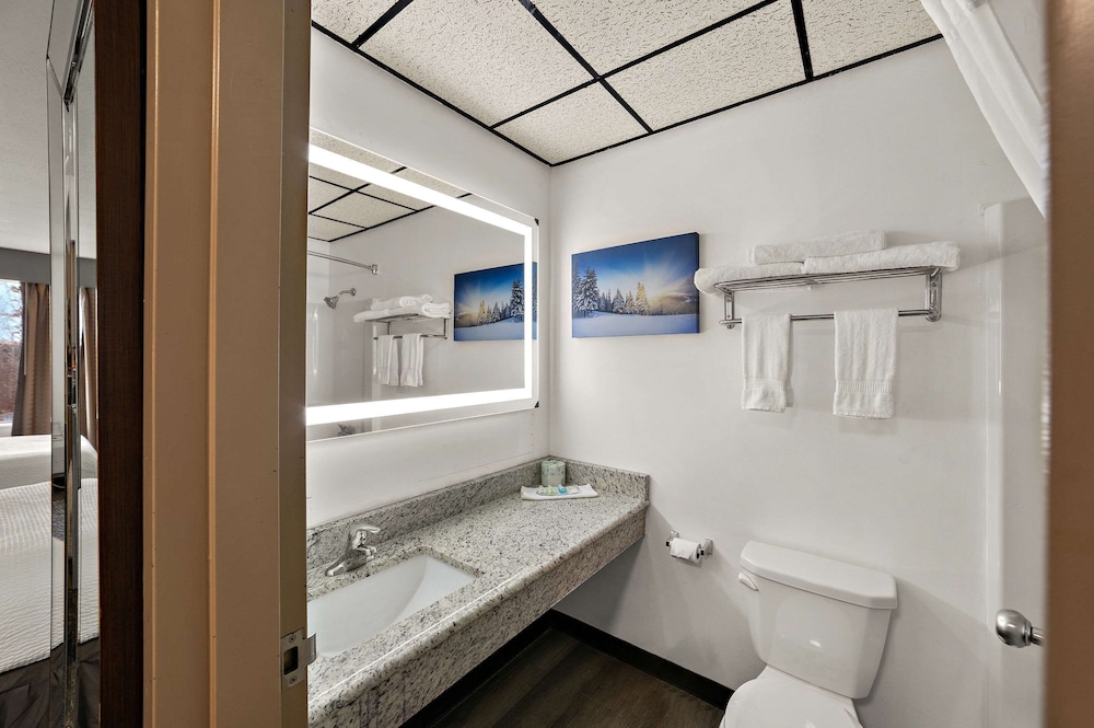 Quality Inn & Suites Caribou - photo 28