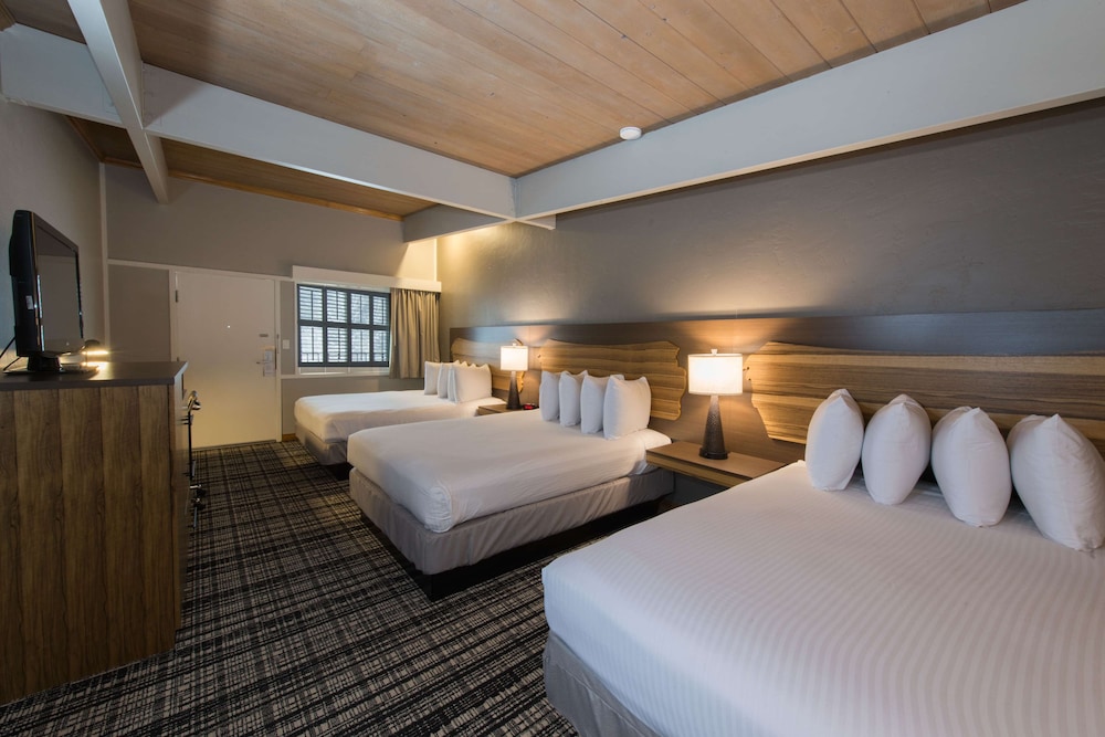 Best Western Antlers at Glenwood Springs - photo 36