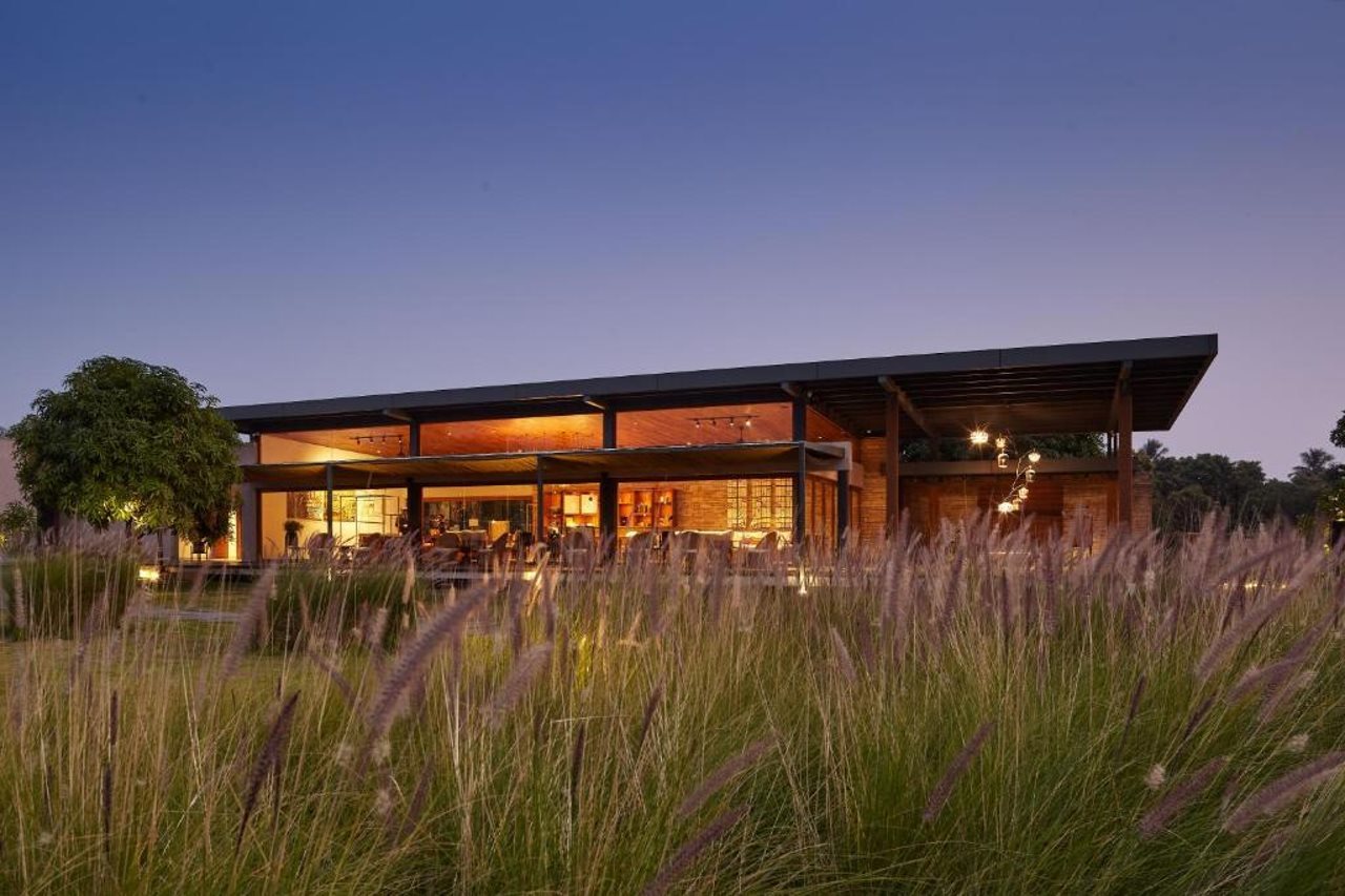 Woods at Sasan in Veraval, India