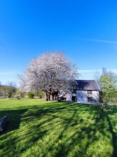 Gerestaureerde hoeve met zicht in Durbuy, Belgium
