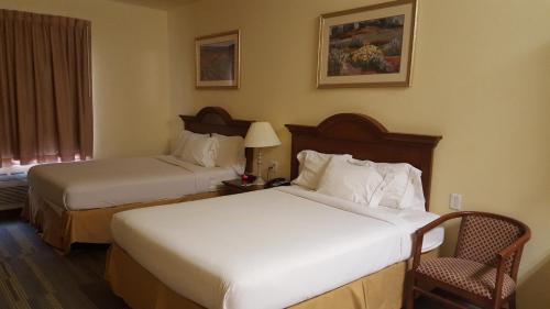 Reddy Hotel - photo 9
