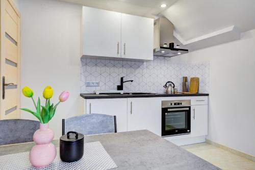 Apartament na wzgórzu — 4-Star Luxury Hotel in Muszyna, Poland
