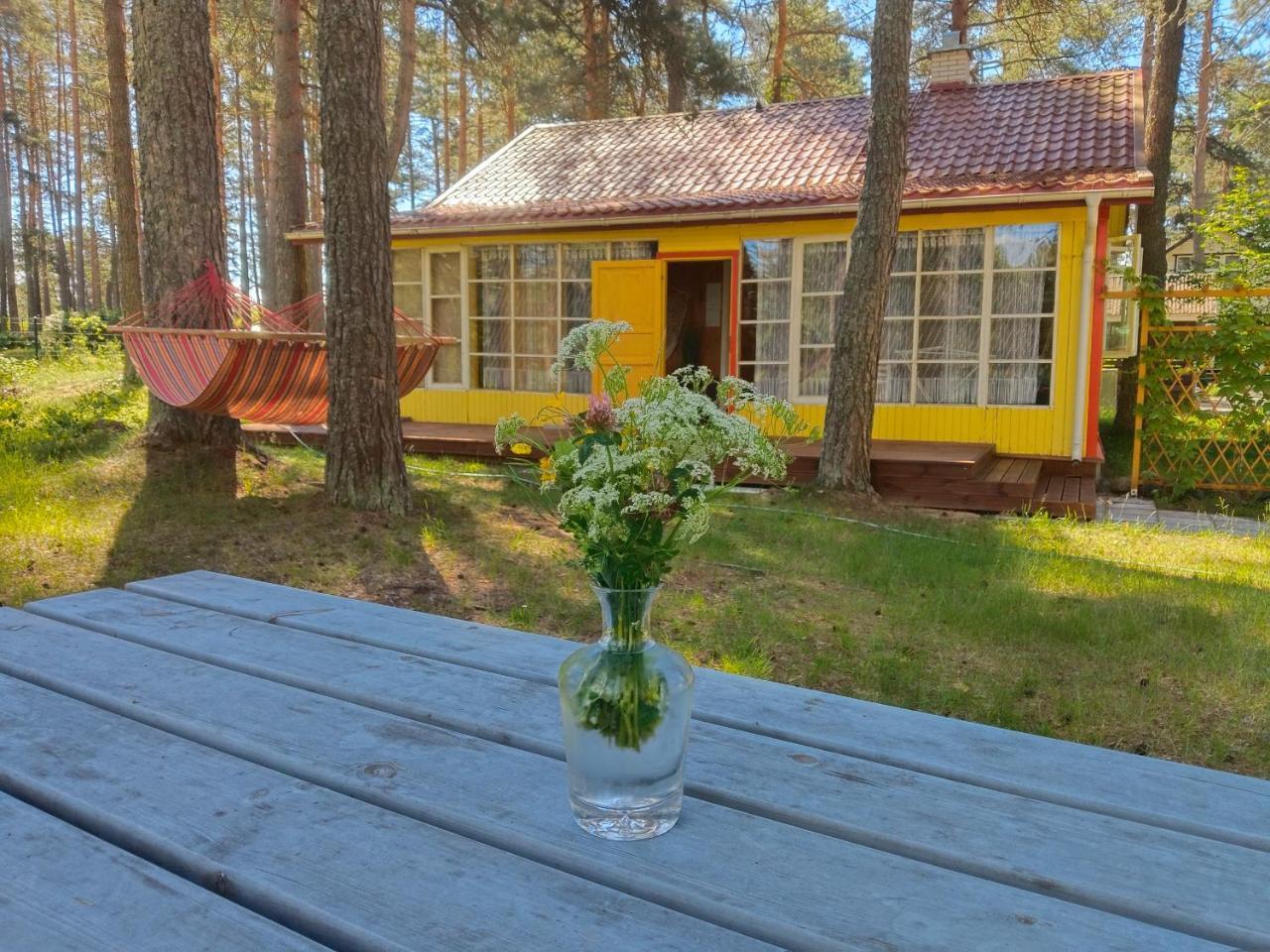 Katase Suvemaja - last minute hotel in Unknown City