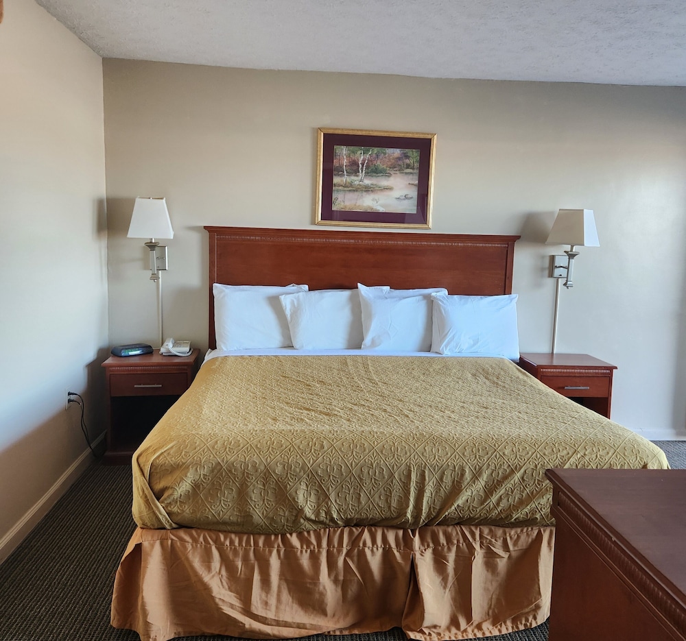 Royal Motel - photo 11