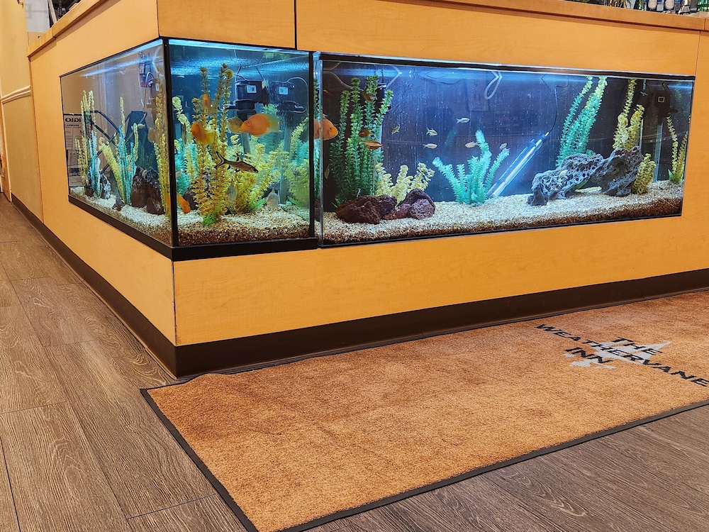 The Weathervane Inn - photo 5