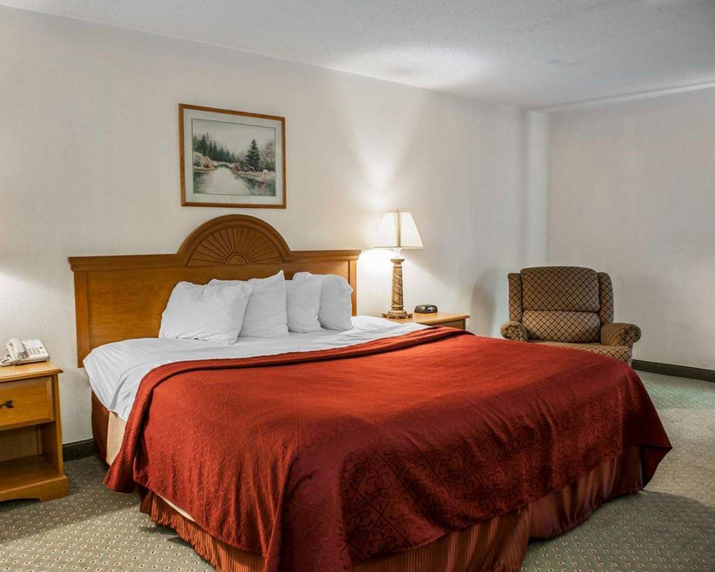 Quality Inn Rochester South - photo 10