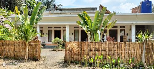 Ebucu in Tanjung, Indonesia