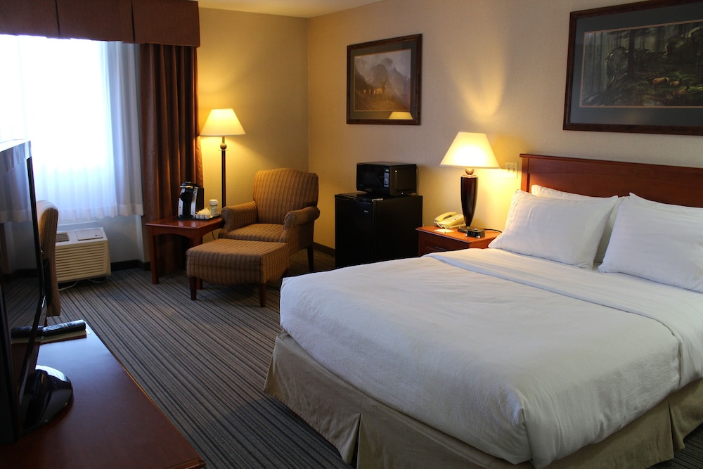 3 Rivers Hotel - photo 11