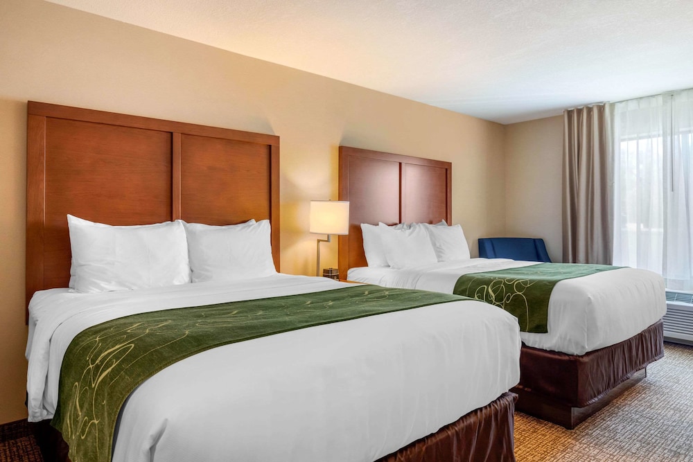 Comfort Inn & Suites Schenectady Scotia - photo 10