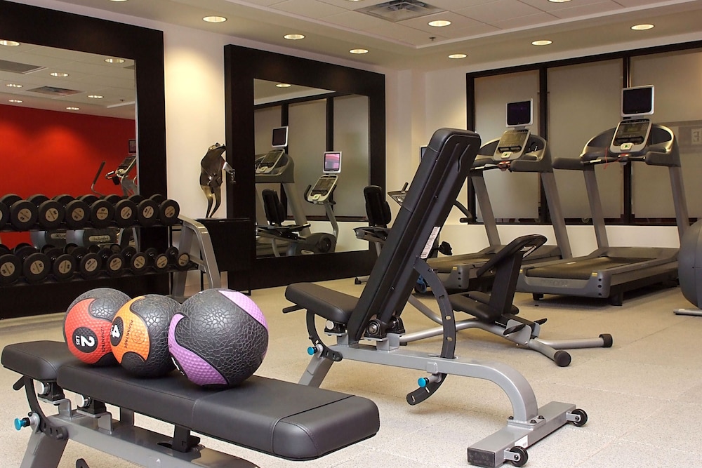 Embassy Suites by Hilton Detroit Metro Airport - photo 34
