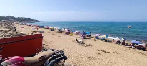 Top F2 pied dans eau in Ain Taya, Algeria