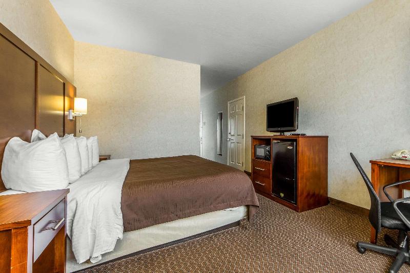 Quality Inn San Jose Downtown - photo 8