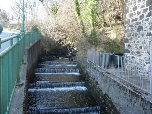 Wee Dram — Tobermory — photo 2