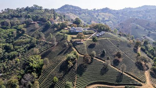 Wata Khiri By Wang Put Tan — Mae Fa Luang