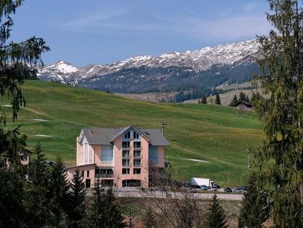 Hotel Rischli — hotel in Fluehli